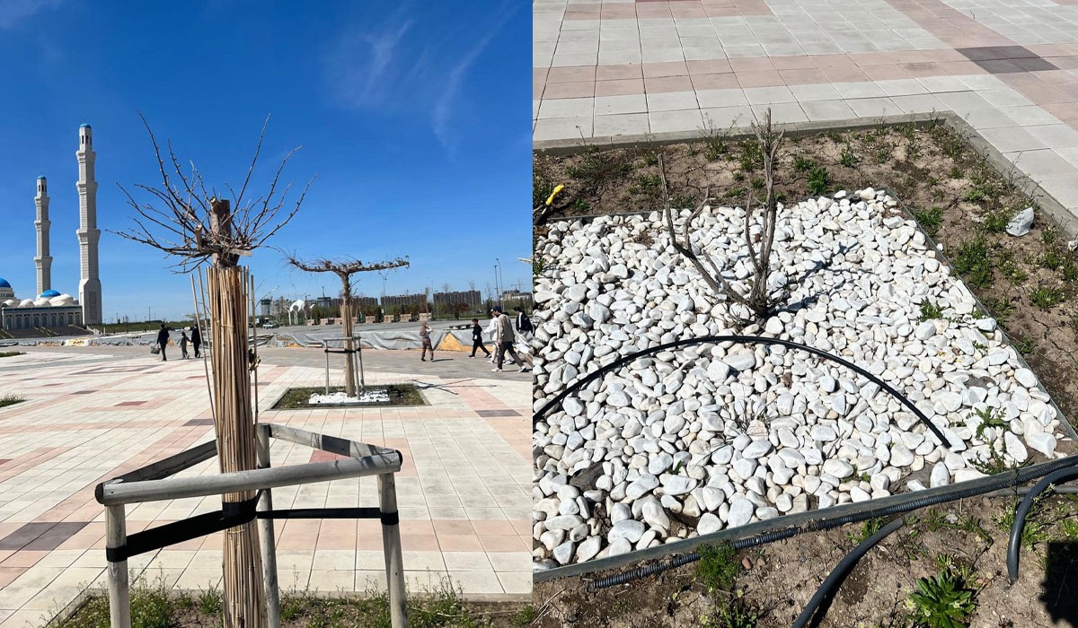 Қоғамдық көліктегі жалаңаш видеолар